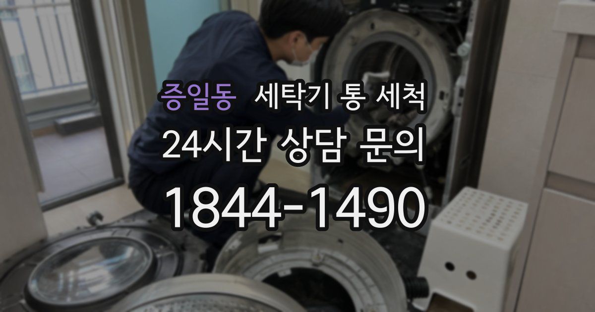 증일동 세탁기 통 세척