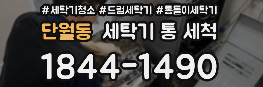 단월동 세탁기 통 세척