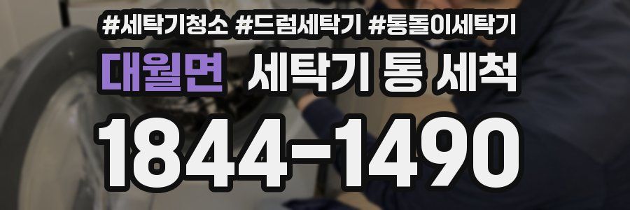 대월면 세탁기 통 세척