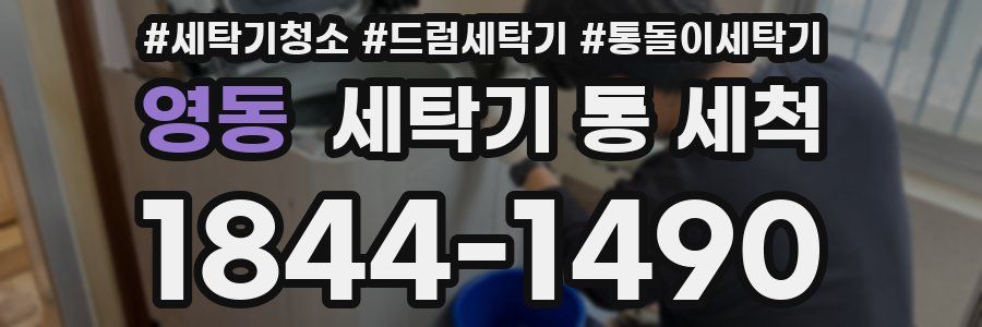 영동 세탁기 통 세척
