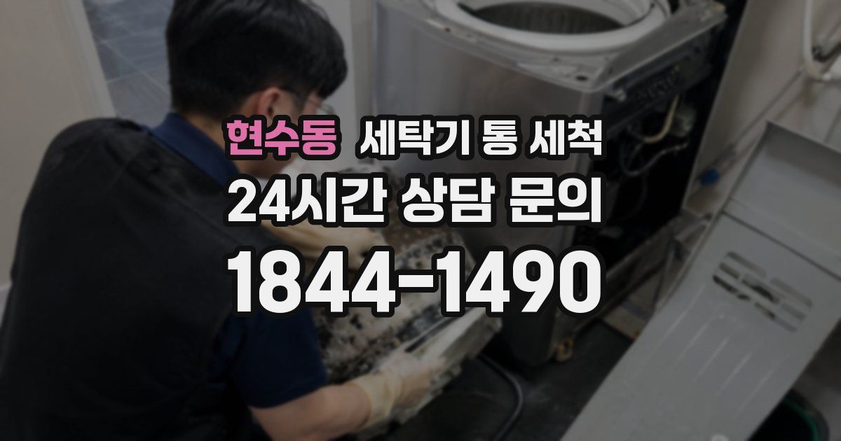 현수동 세탁기 통 세척