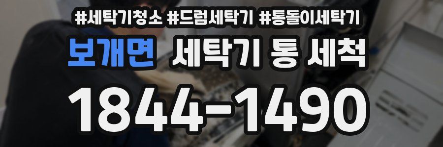 보개면 세탁기 통 세척