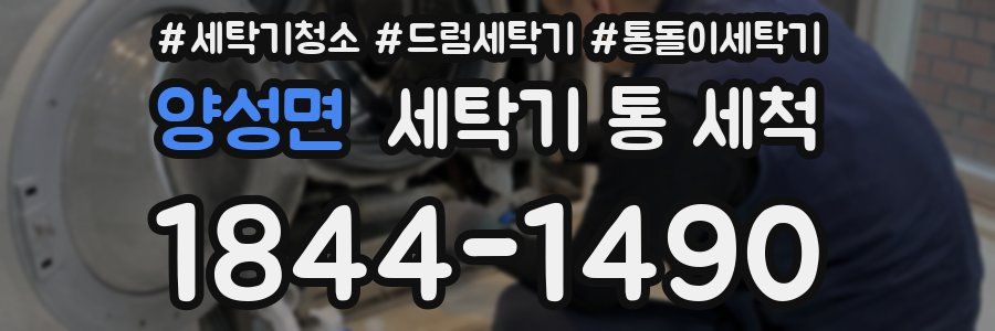 양성면 세탁기 통 세척