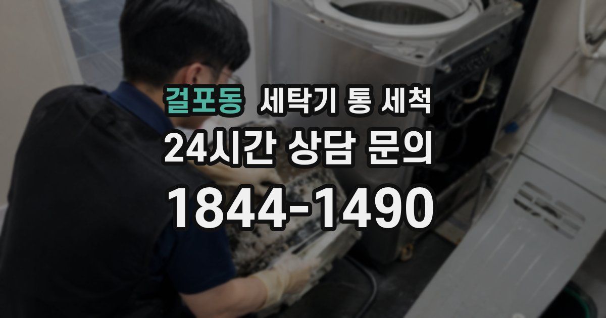 걸포동 세탁기 통 세척