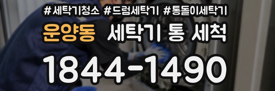 운양동 세탁기 통 세척
