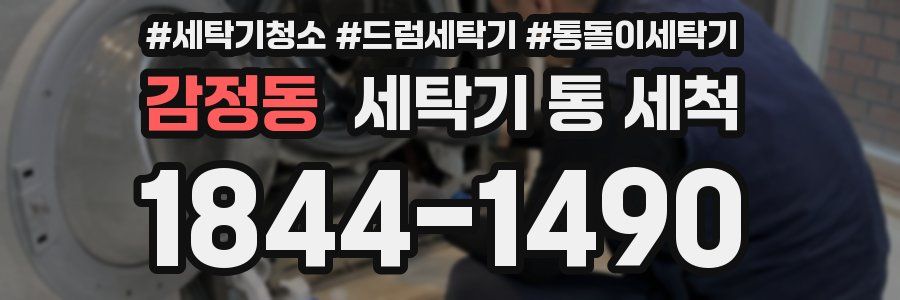 감정동 세탁기 통 세척