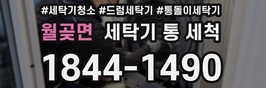 월곶면 세탁기 통 세척
