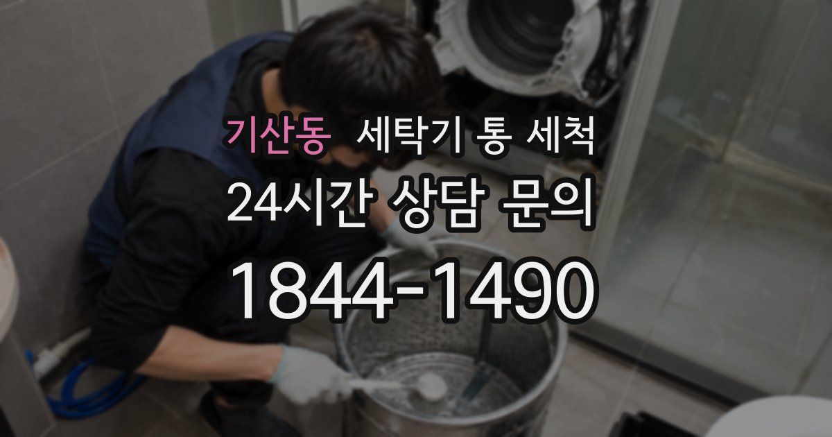 기산동 세탁기 통 세척