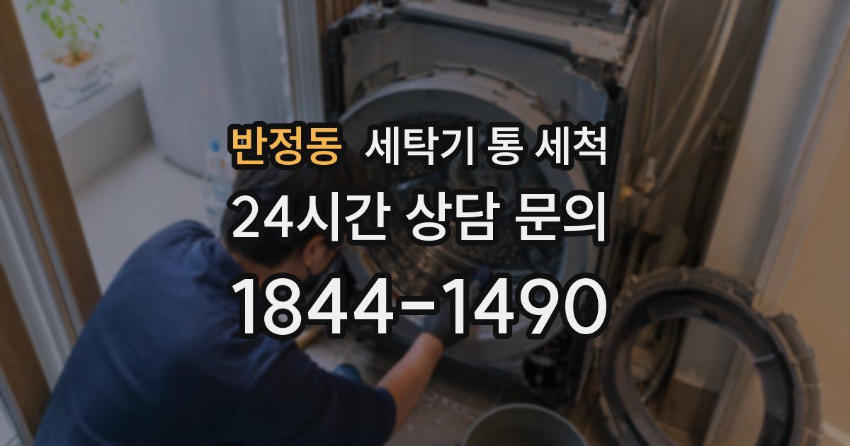 반정동 세탁기 통 세척