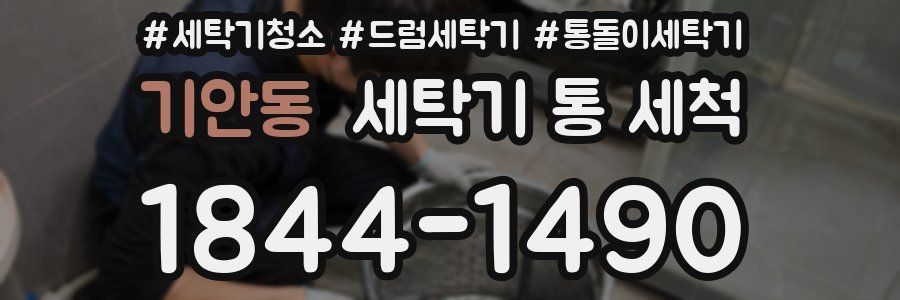 기안동 세탁기 통 세척