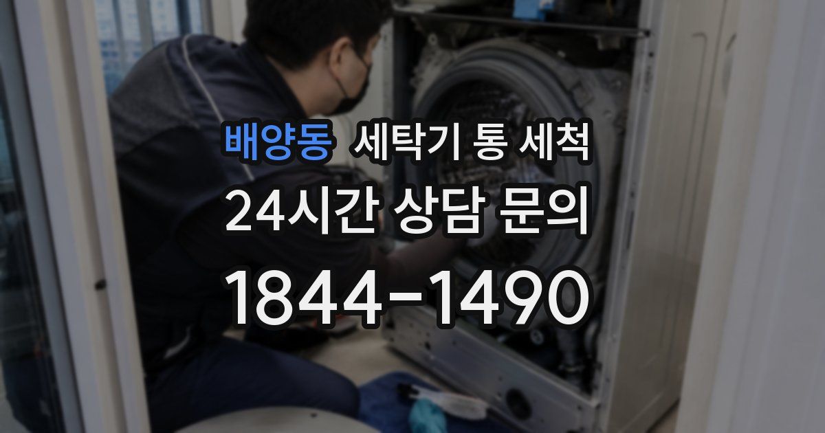 배양동 세탁기 통 세척