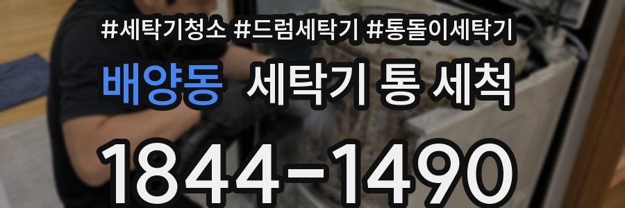 배양동 세탁기 통 세척