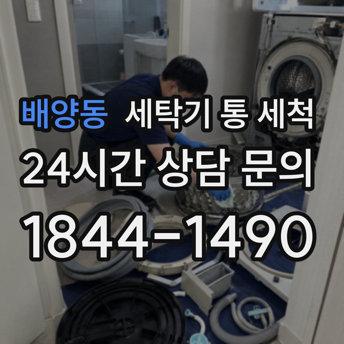 배양동 세탁기 통 세척