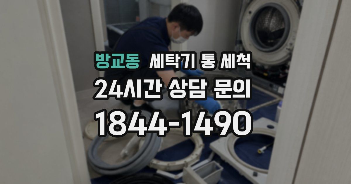 방교동 세탁기 통 세척