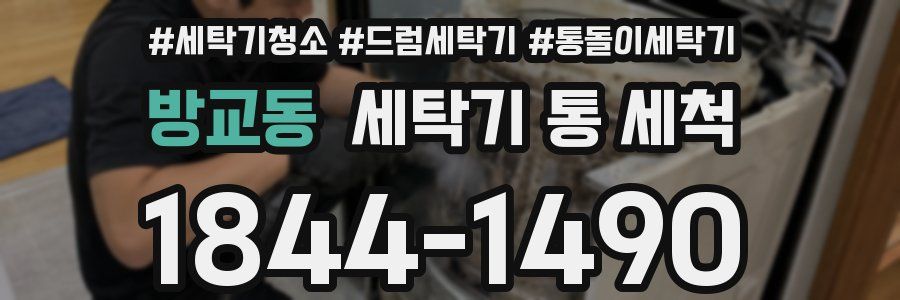방교동 세탁기 통 세척