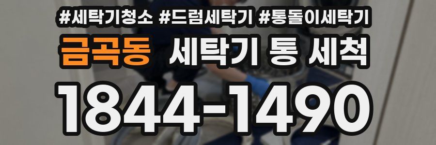 금곡동 세탁기 통 세척