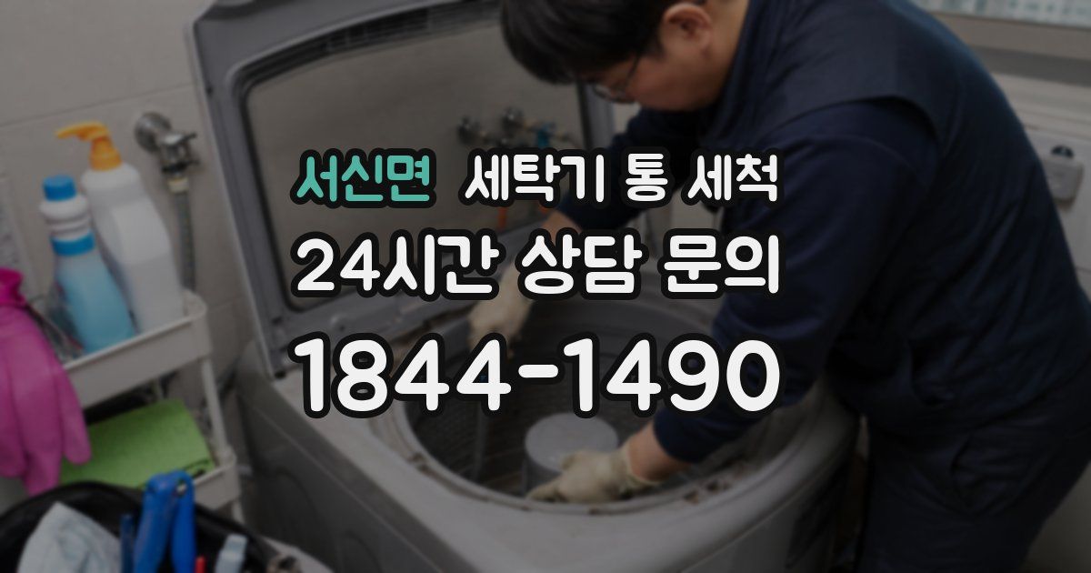 서신면 세탁기 통 세척