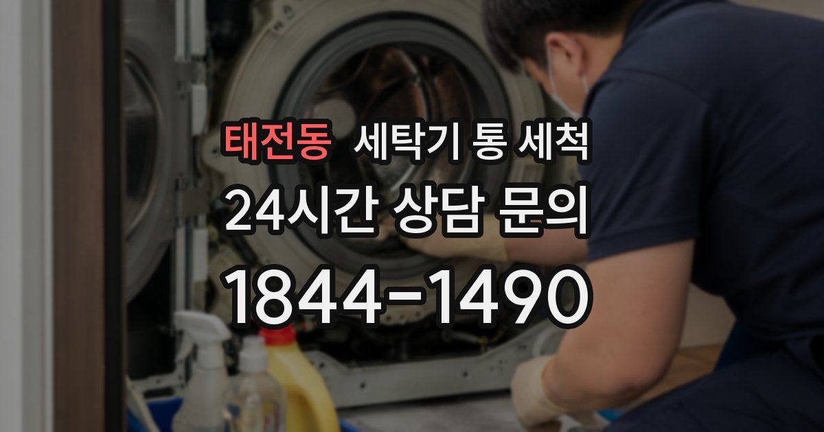태전동 세탁기 통 세척