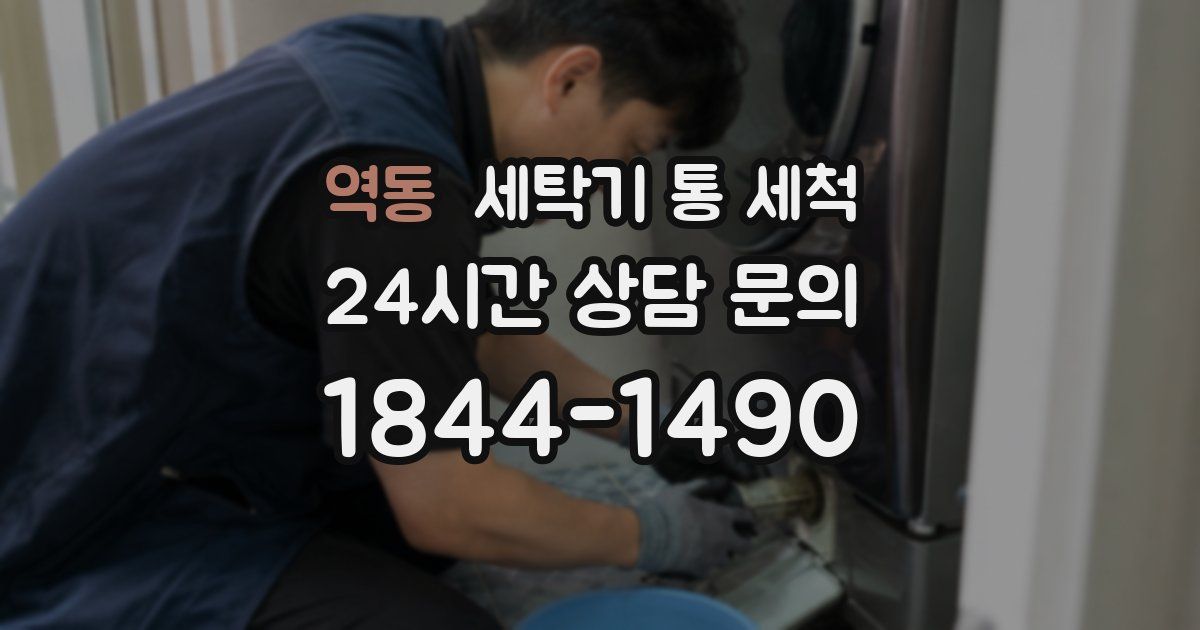 역동 세탁기 통 세척