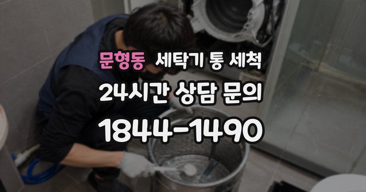 문형동 세탁기 통 세척