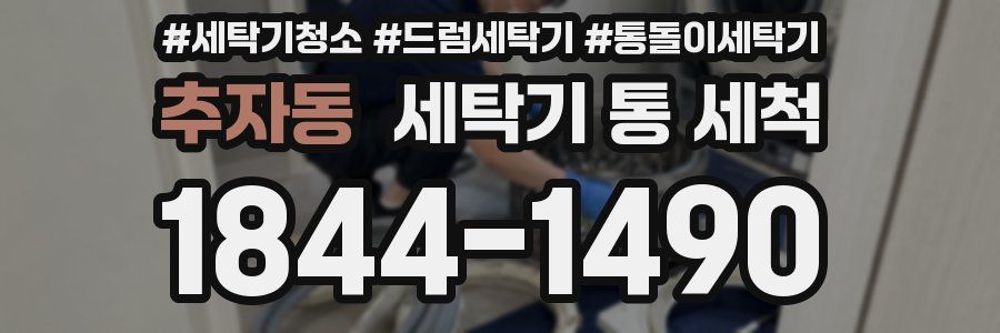 추자동 세탁기 통 세척