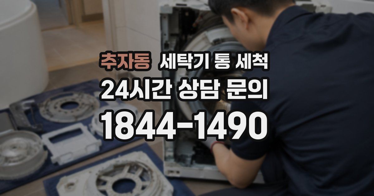 추자동 세탁기 통 세척