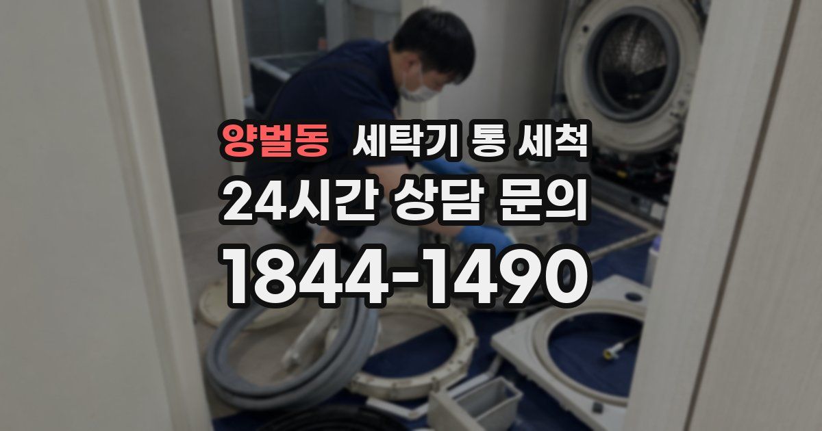 양벌동 세탁기 통 세척
