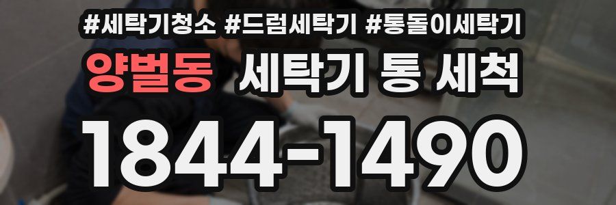양벌동 세탁기 통 세척