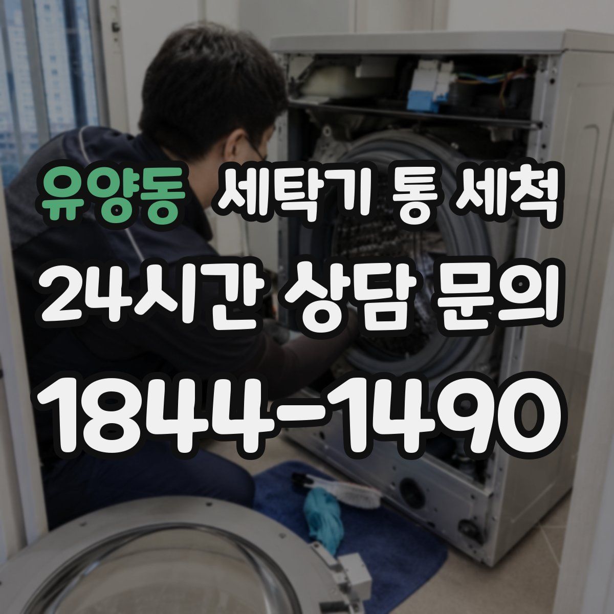유양동 세탁기 통 세척