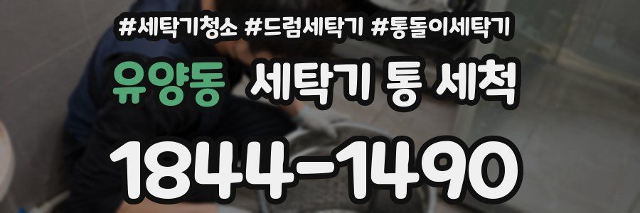 유양동 세탁기 통 세척