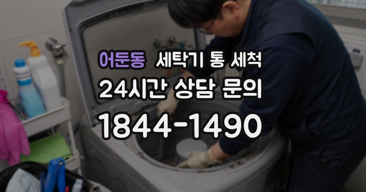 어둔동 세탁기 통 세척