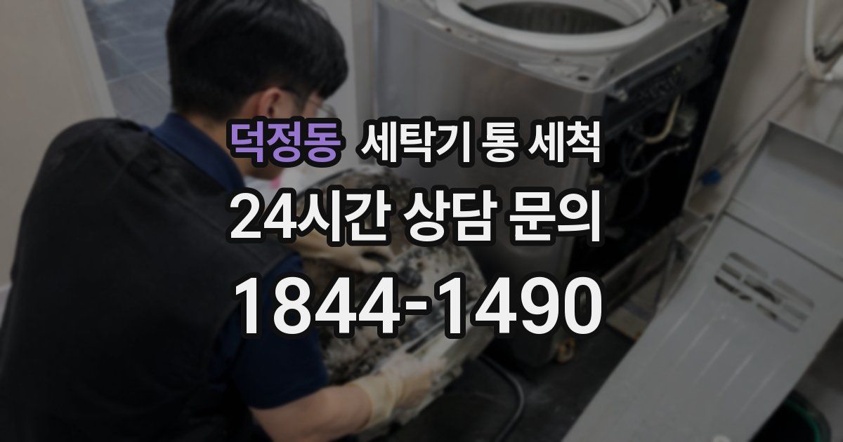 덕정동 세탁기 통 세척