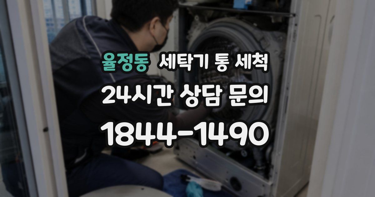 율정동 세탁기 통 세척