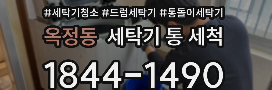 옥정동 세탁기 통 세척