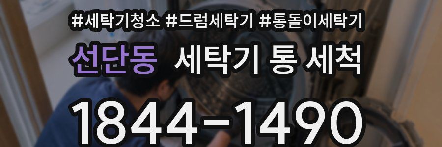 선단동 세탁기 통 세척