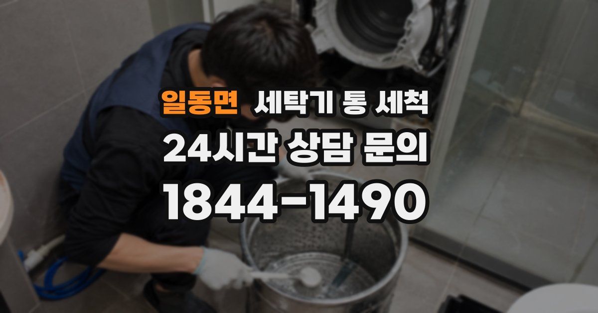 일동면 세탁기 통 세척