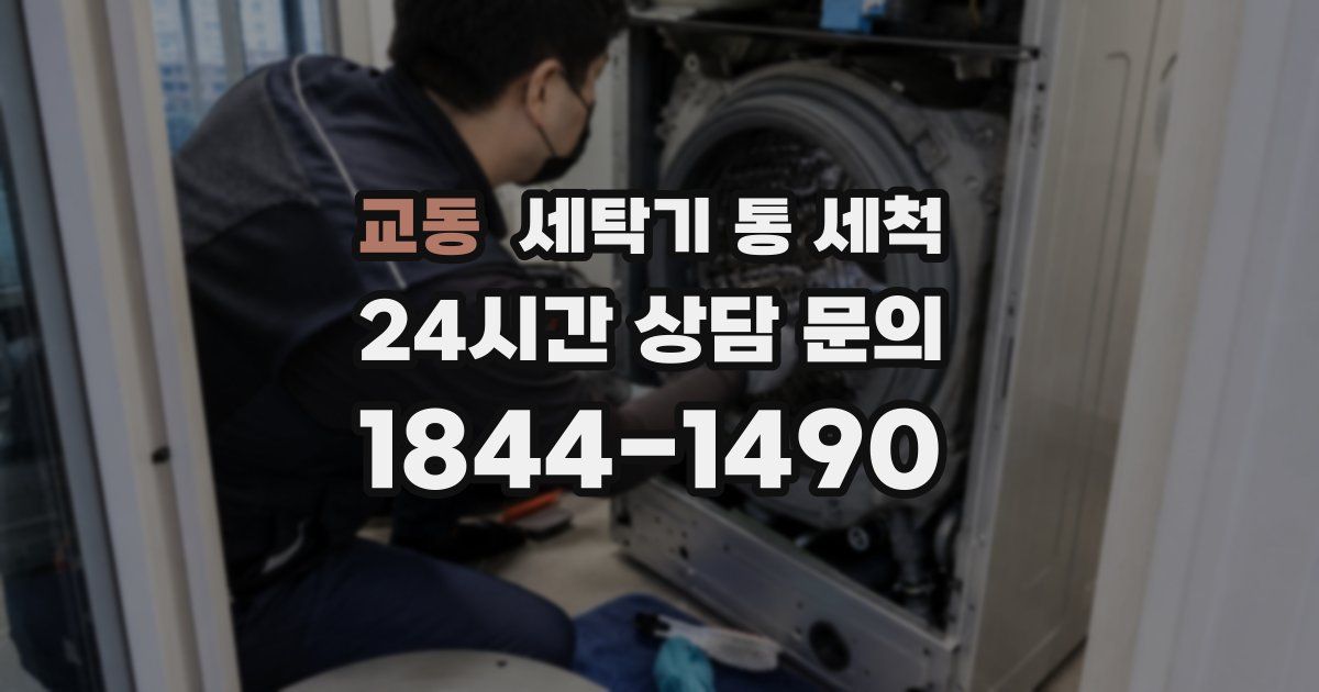 교동 세탁기 통 세척