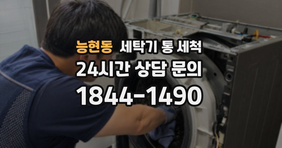 능현동 세탁기 통 세척