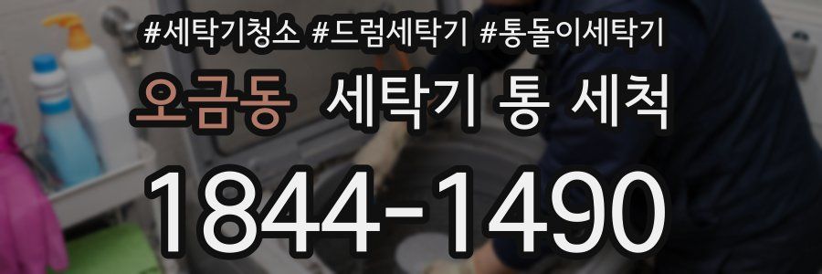오금동 세탁기 통 세척