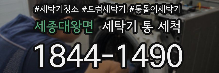 세종대왕면 세탁기 통 세척