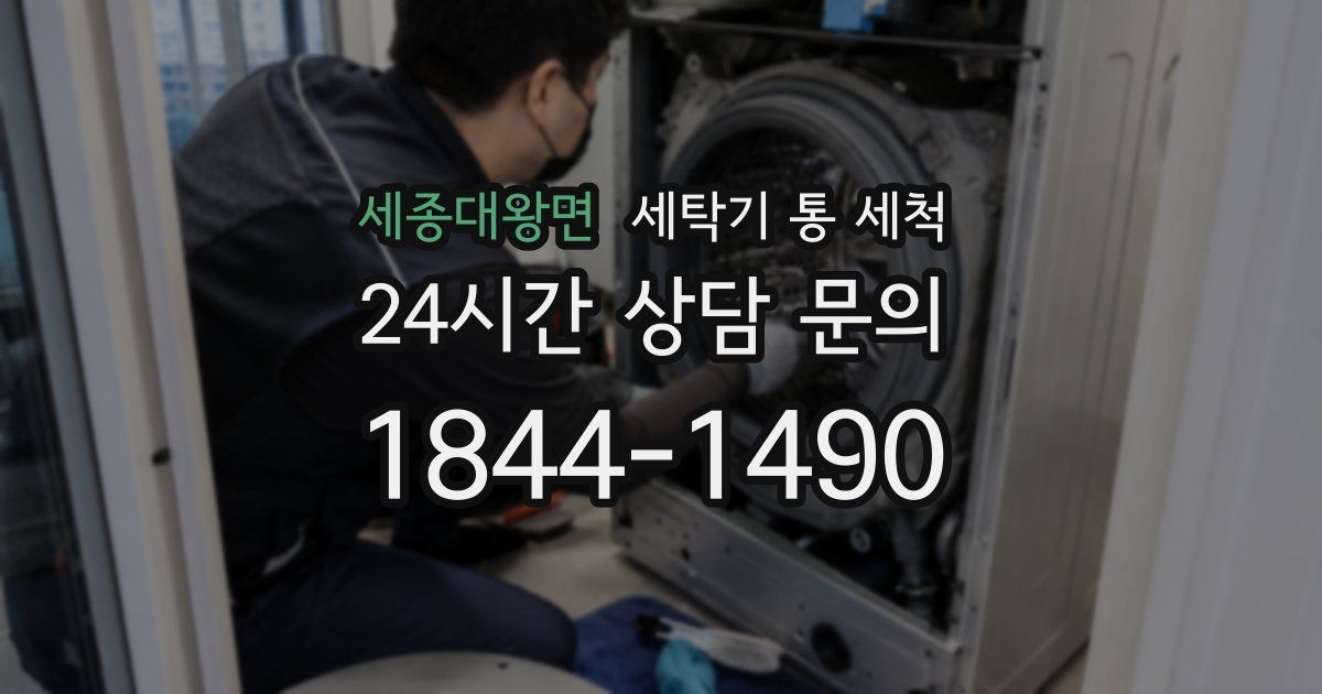 세종대왕면 세탁기 통 세척