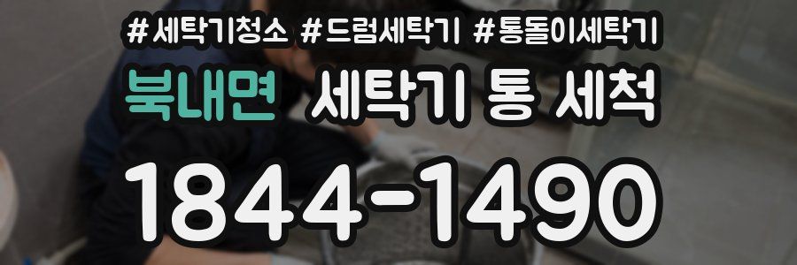 북내면 세탁기 통 세척