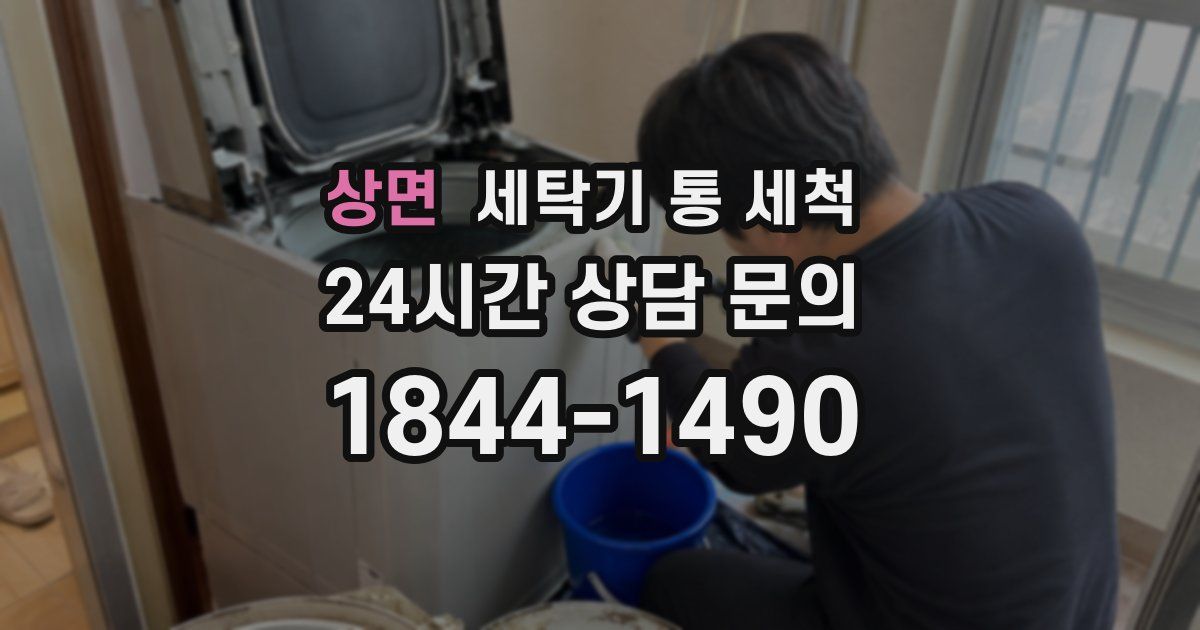 상면 세탁기 통 세척