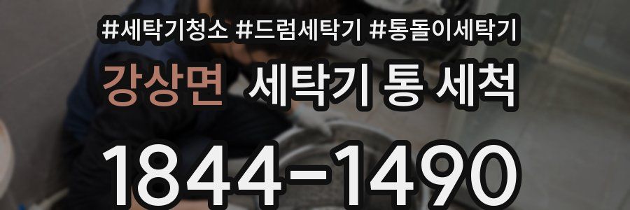 강상면 세탁기 통 세척