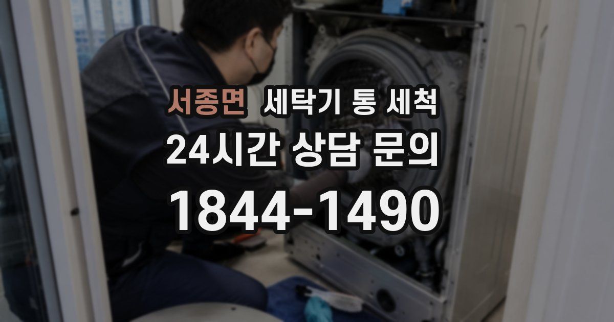 서종면 세탁기 통 세척
