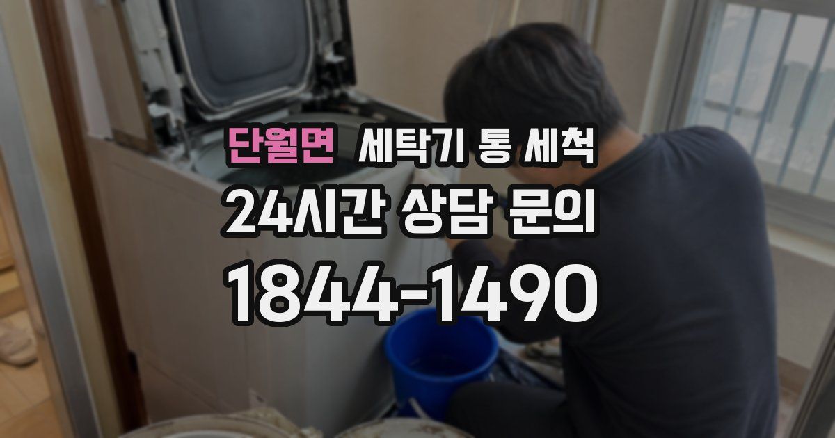 단월면 세탁기 통 세척