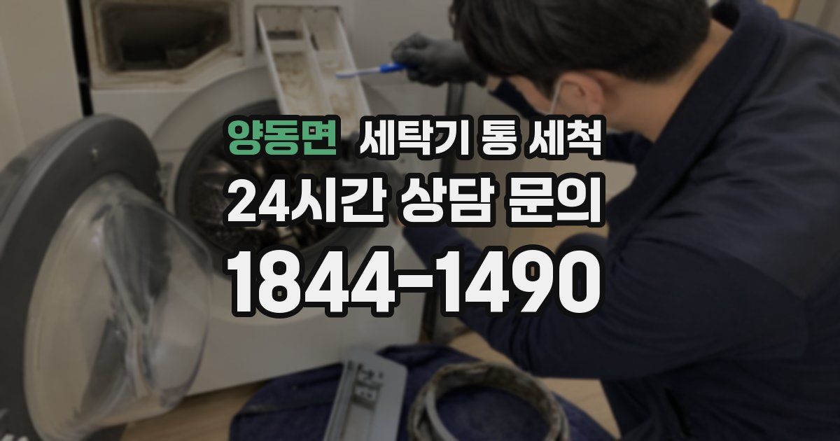 양동면 세탁기 통 세척