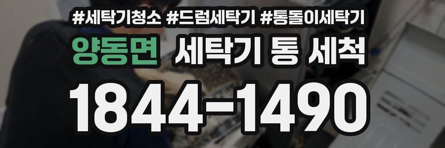 양동면 세탁기 통 세척