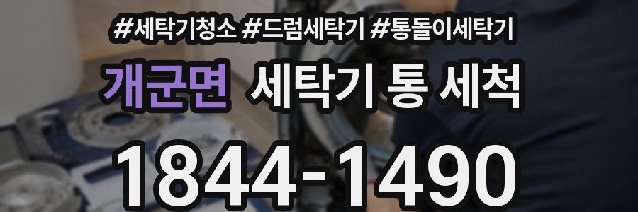 개군면 세탁기 통 세척