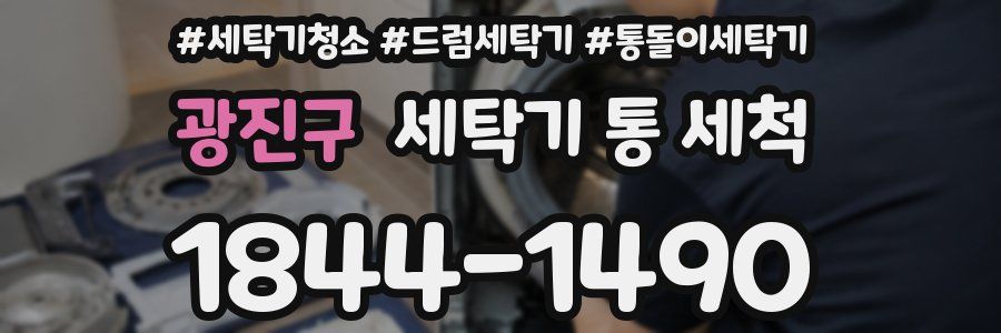 광진구 세탁기 통 세척